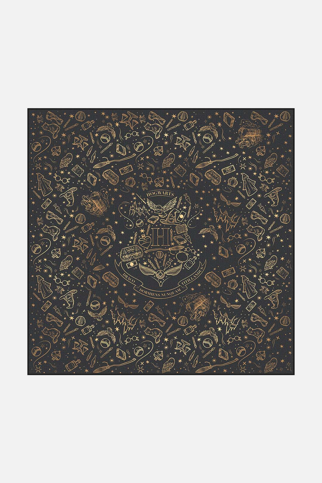 Harry Potter™ Hogwarts Gold Teppich - Image 12