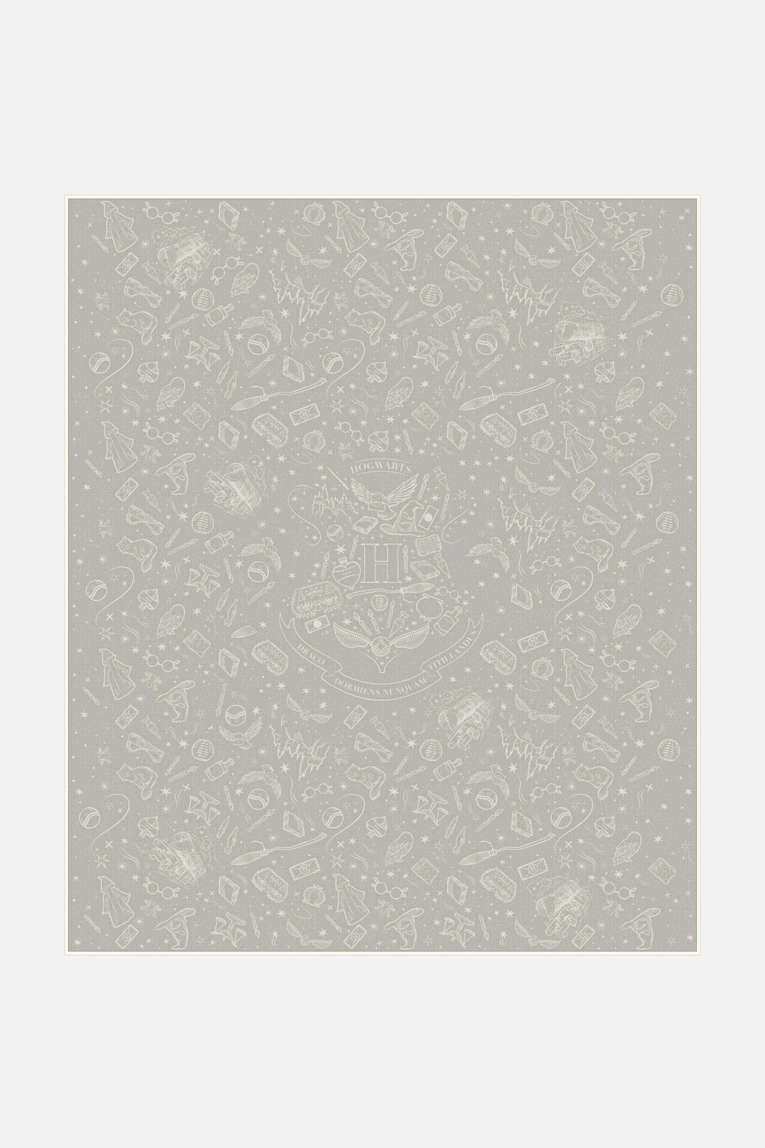 Harry Potter™ Hogwarts Taupe Teppich - Image 15
