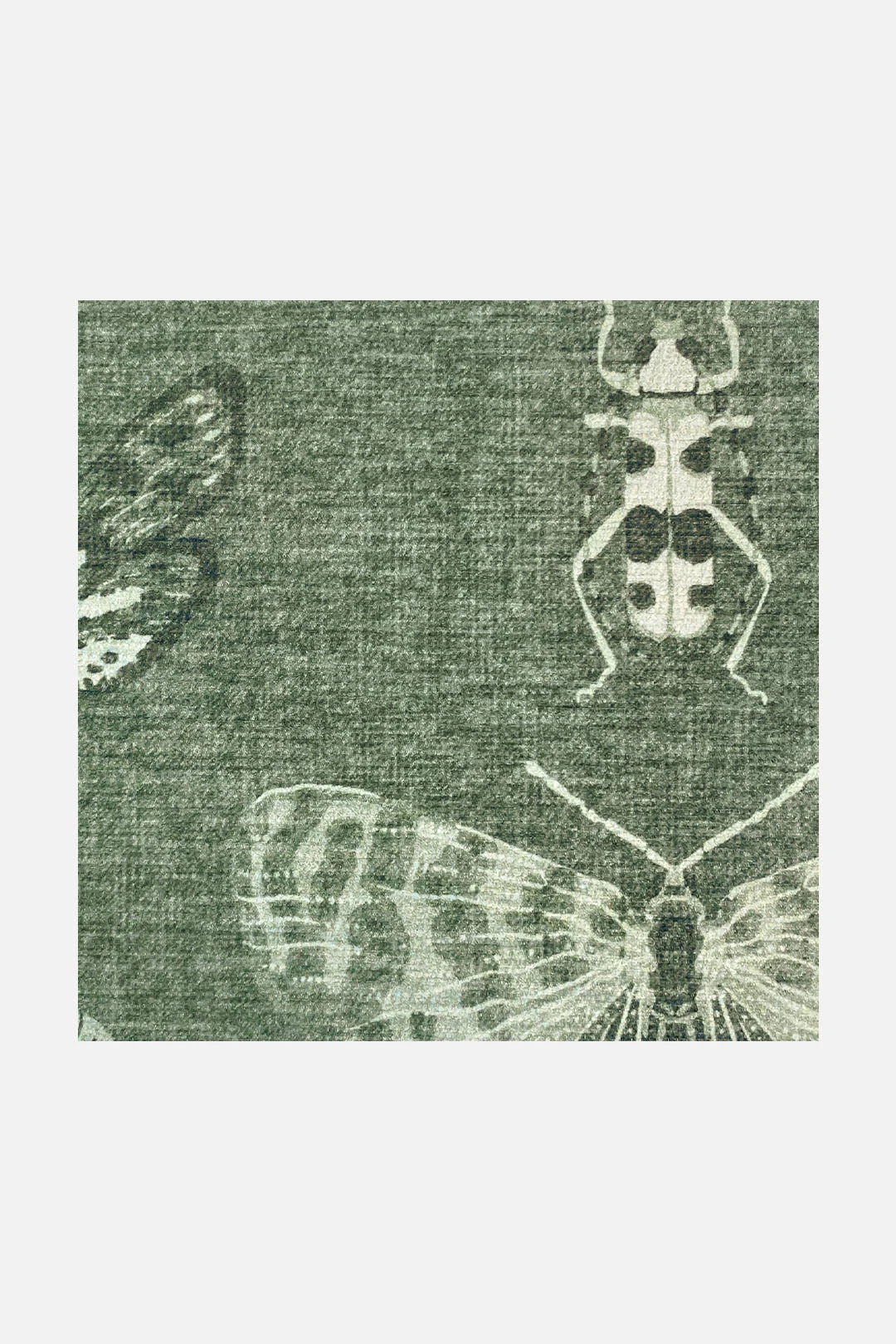 Schmetterling Salbei Teppich - Image 3