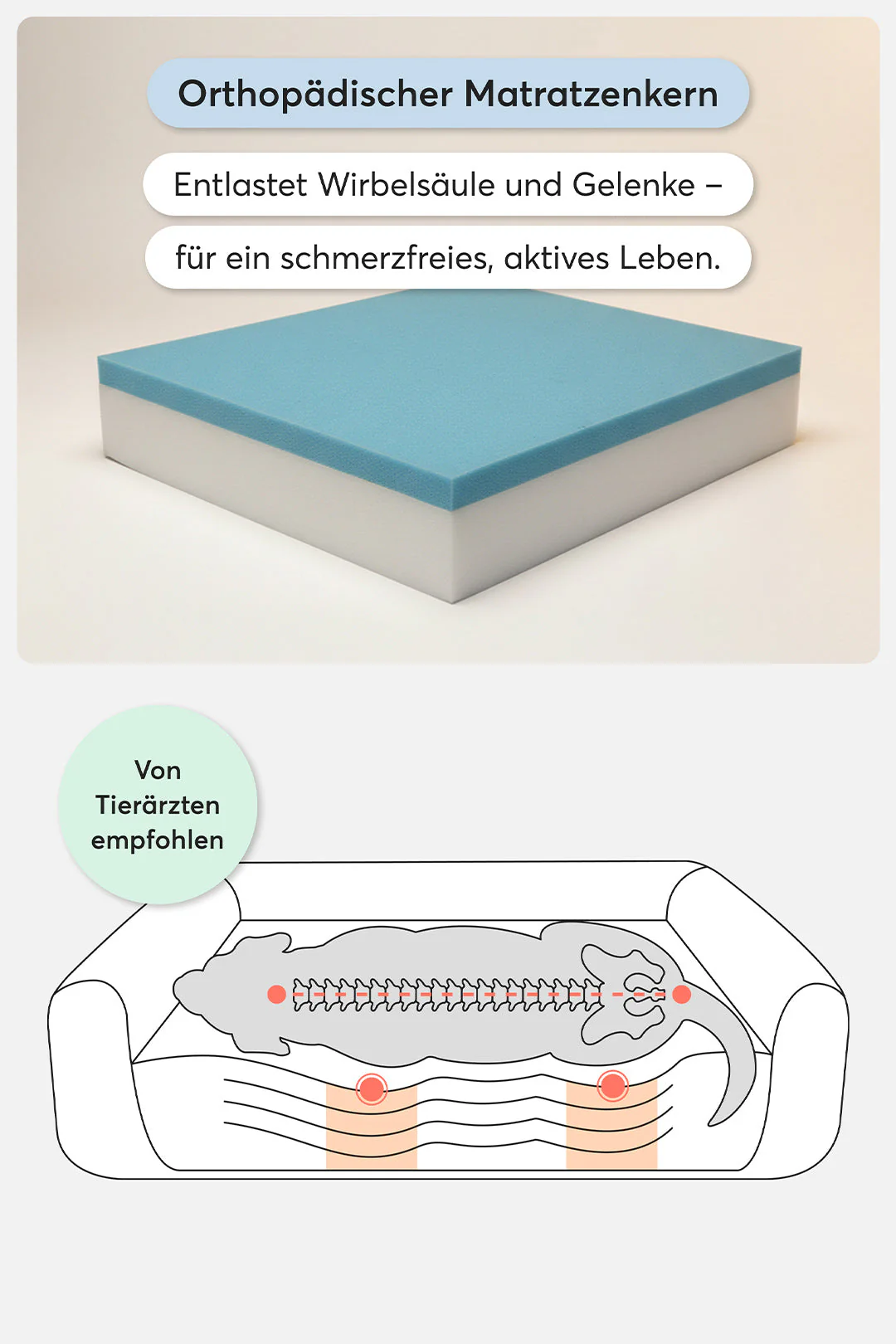 Orthopädisches Hundebett Pure Beige - Image 18