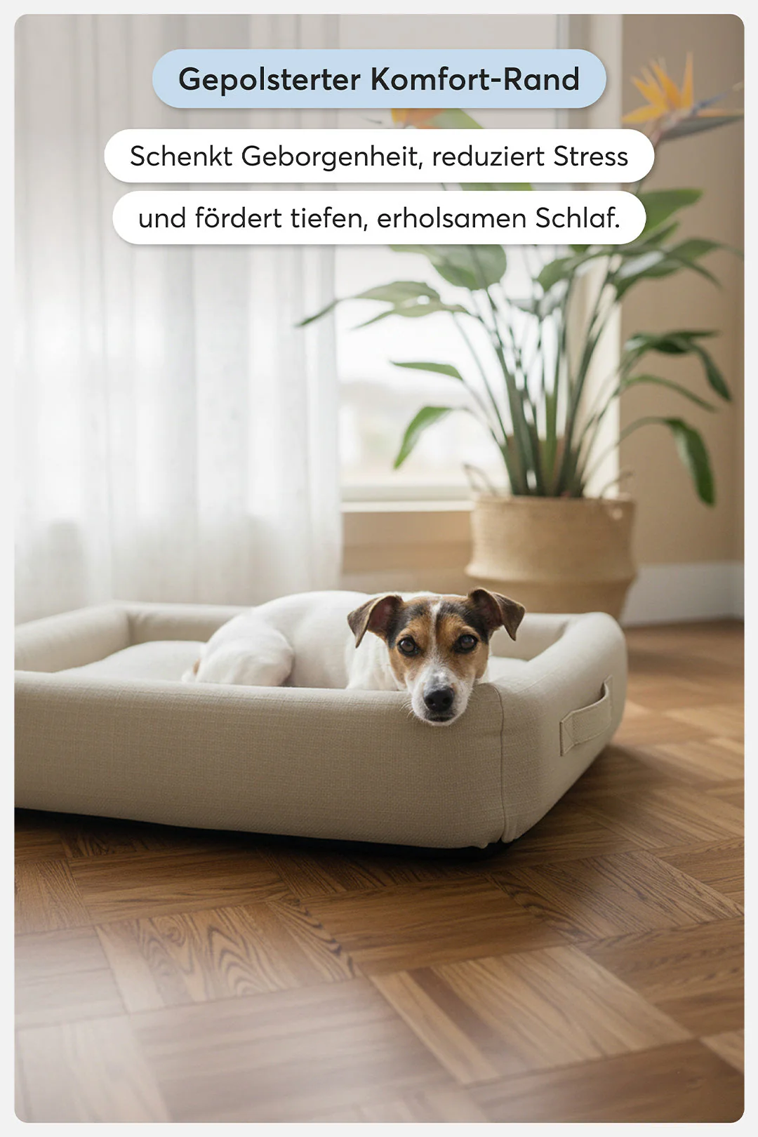 Orthopädisches Hundebett Pure Beige - Image 3